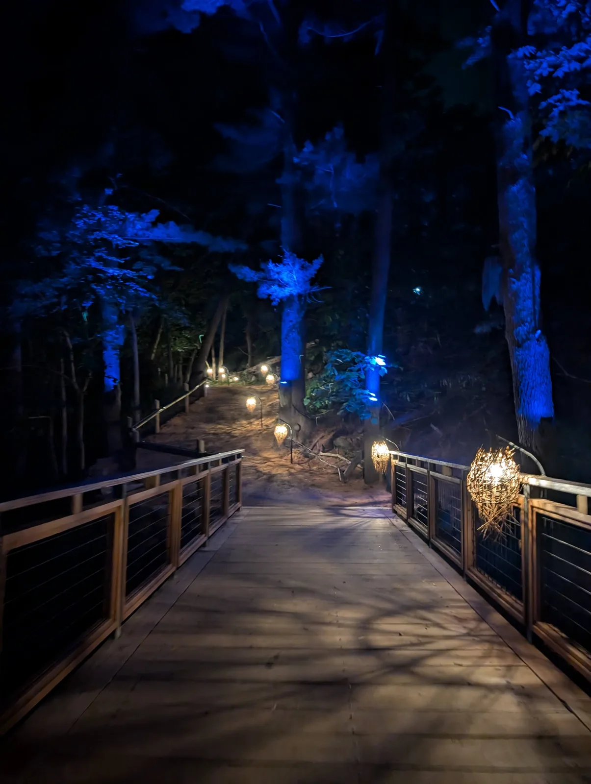 A lit boardwalk through the woods at Aquavia Lumina
