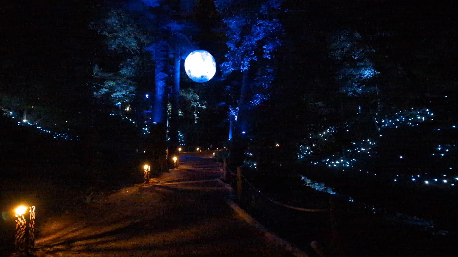 A glowing moon hanging above the lit forest trail at Aquavia Lumina in Wisconsin Dells