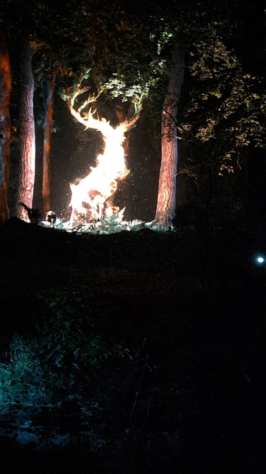 A glowing stag made of light at Aquavia Lumina