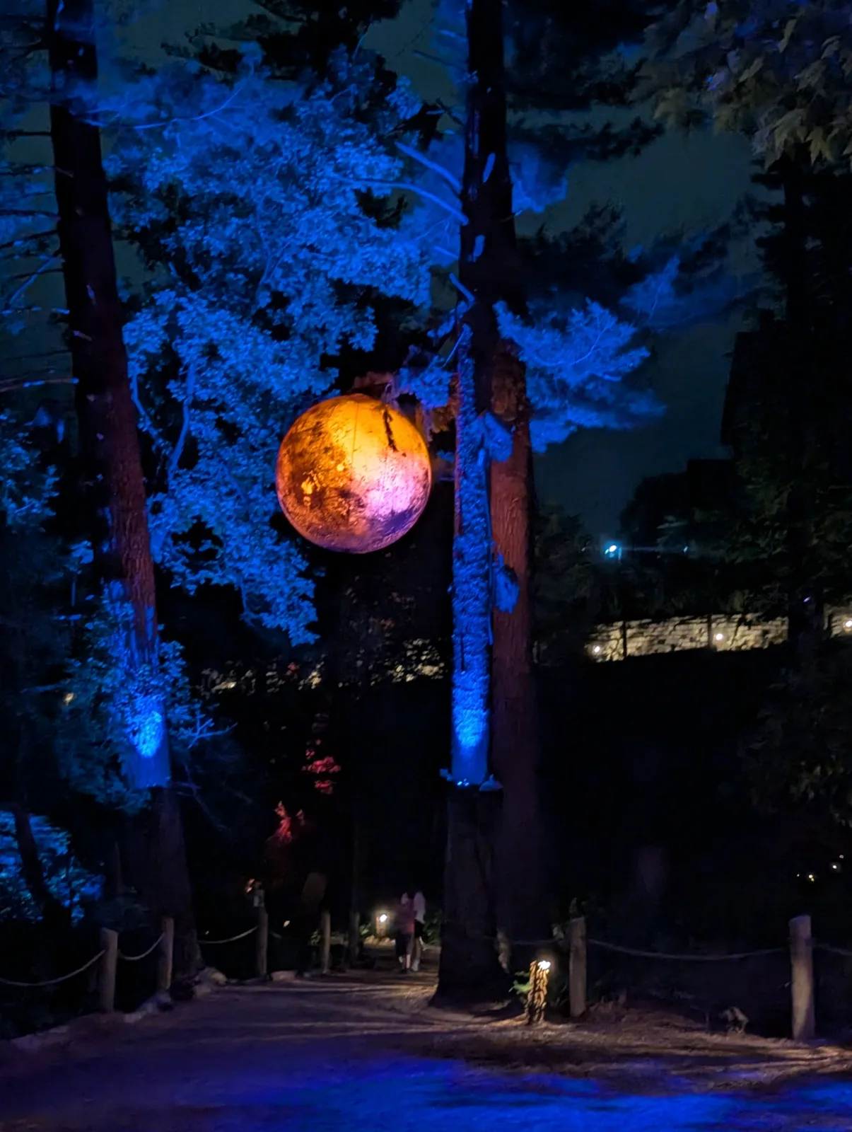 An orange moon glowing in the trees at Aquavia Lumina