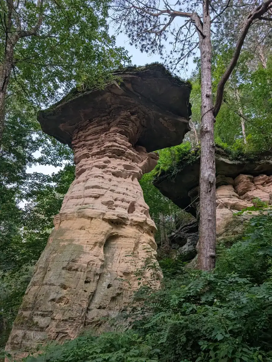 Stand Rock, a sandstone pillar with a flat rock cap, in the woods