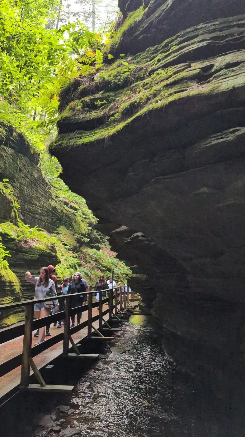 The boardwalk running through the narrow canyon at Witches Gulch