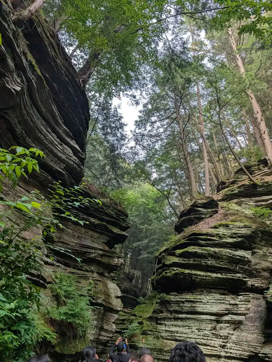 The narrow moss-covered sandstone canyon of Witches Gulch