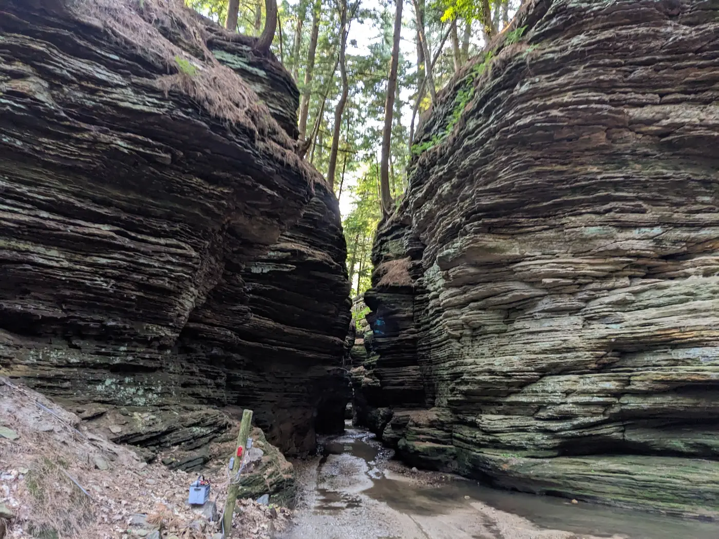 Towering layered walls of the canyon