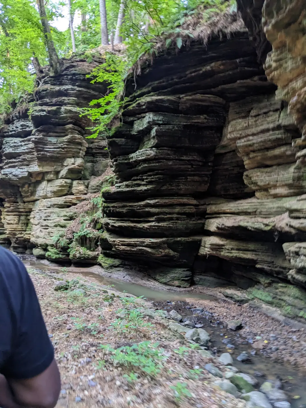 Layered sandstone walls along the trail