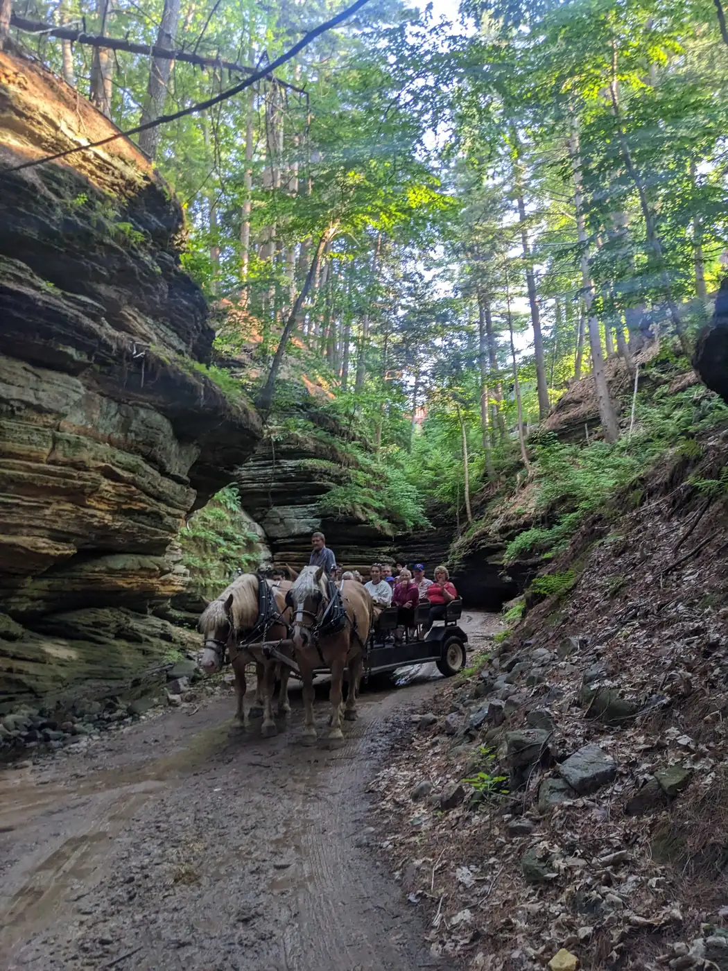 Another wagon ahead in the canyon