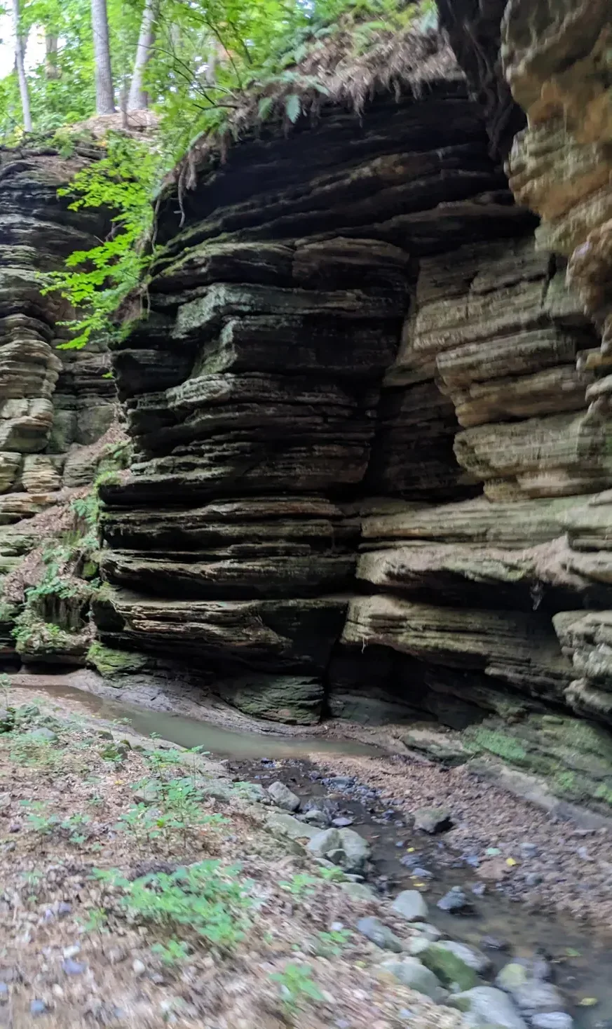 The sandstone walls of Lost Canyon