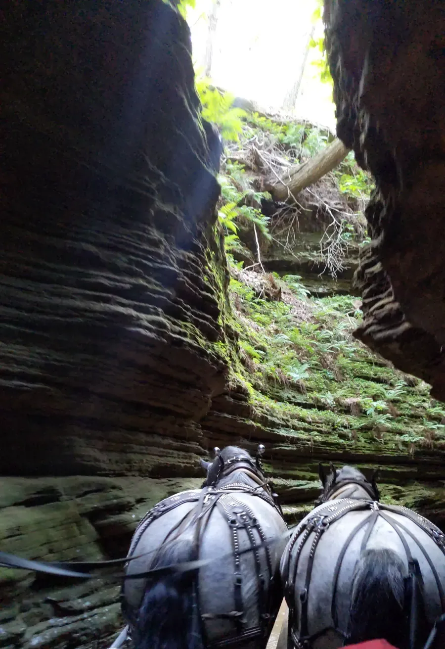 A horse-drawn wagon heading into the sandstone walls of Lost Canyon