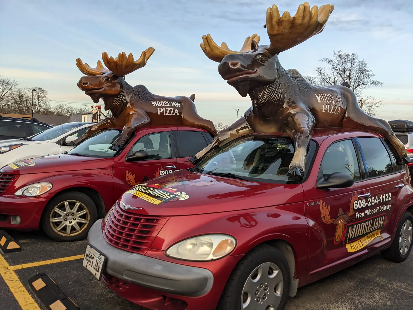 Moosejaw delivery cars with moose statues on the roof