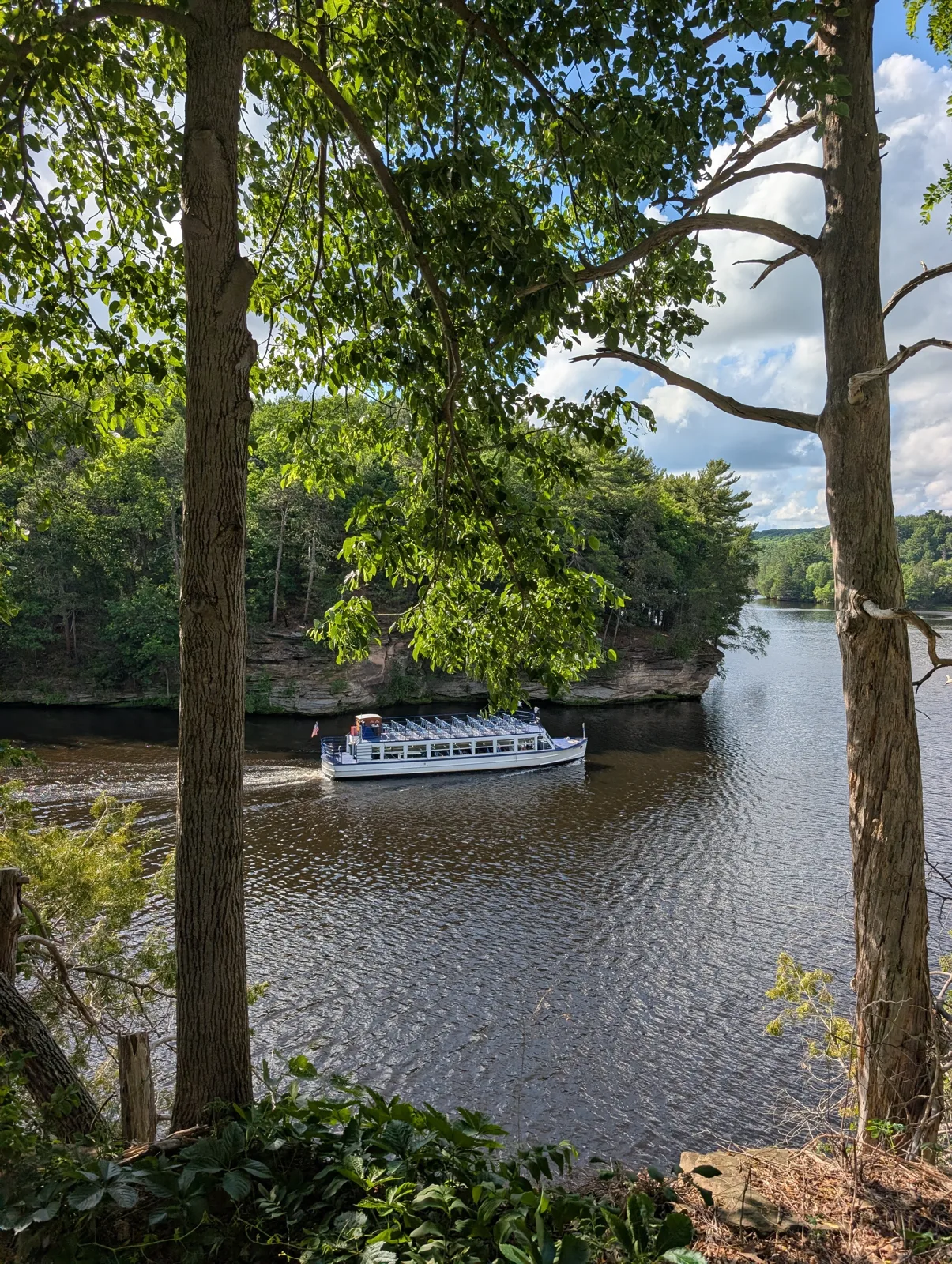 A tour boat on the Wisconsin River, seen through the trees