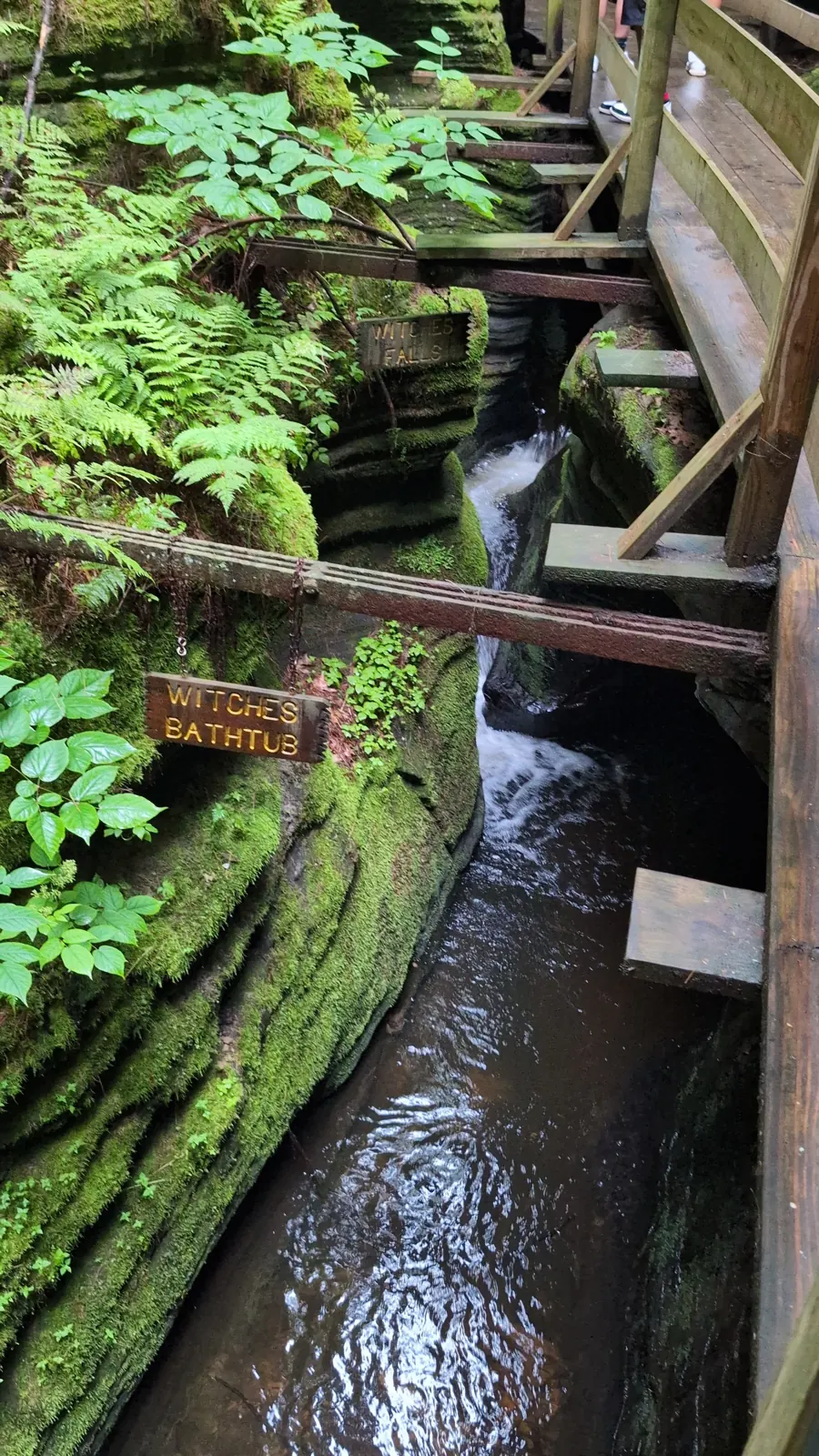 The Witches Gulch boardwalk on the Upper Dells boat tour